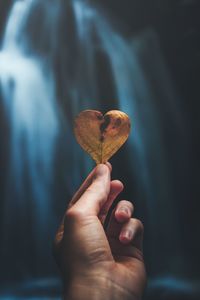 Cropped hand holding heart shape leaf in cave