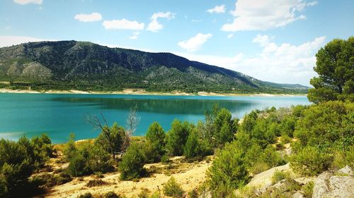 Scenic view of lake by trees against sky