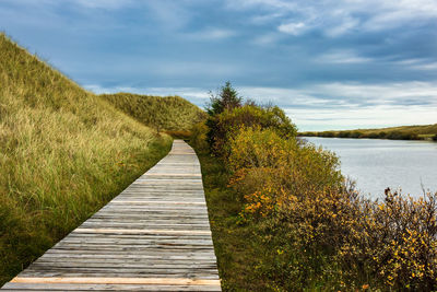 Footpath amidst plants in lake against sky