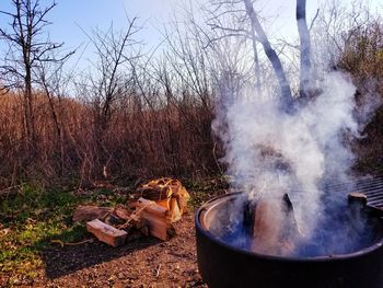 Panoramic shot of bare tree against sky