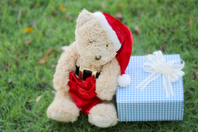 Close-up of stuffed toy on field