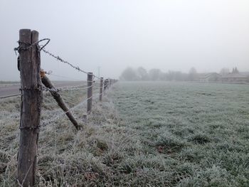 Fence on grassy field