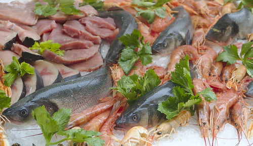 Close-up of fish for sale in market