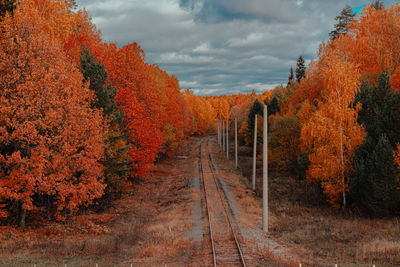 Footpath amidst trees during autumn against sky