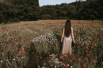 Rear view of woman with long hair standing amidst flowering plants on field