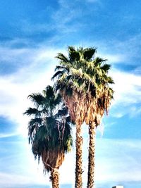 Low angle view of palm trees against blue sky