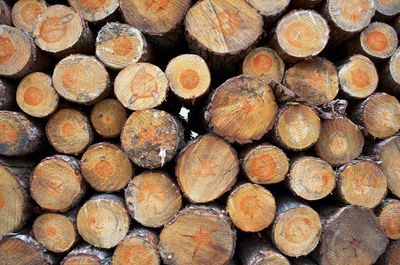 Full frame shot of logs