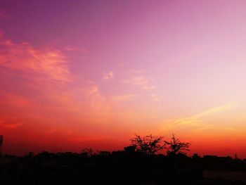 Silhouette of trees at sunset