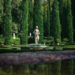 Statue by trees in park