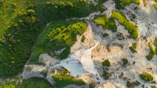 High angle view of trees