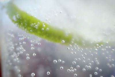 Full frame shot of water drops