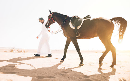 Man with horse walking at desert against clear sky