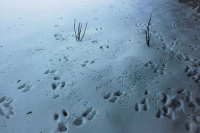 High angle view of footprints on snow covered land