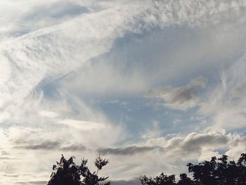 Low angle view of trees against sky