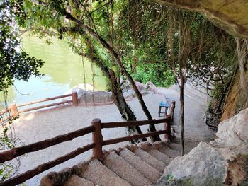 High angle view of trees by lake