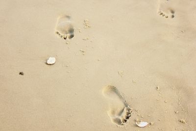 View of sandy beach