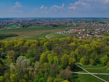 High angle view of trees on landscape against sky