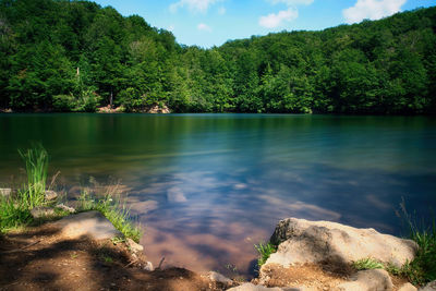 Morske oko sea eye lake in vihorlat, slovakia