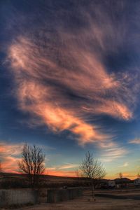 Low angle view of silhouette trees against dramatic sky