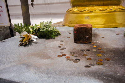 Close-up of drink on table