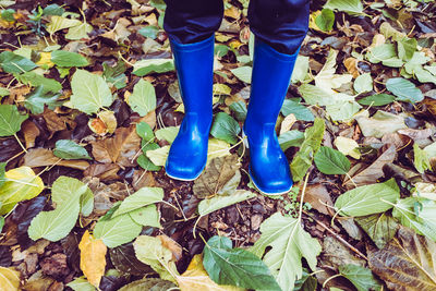 Low section of person standing on dry leaves on field