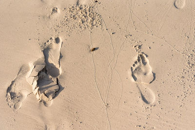 High angle view of footprints on sand