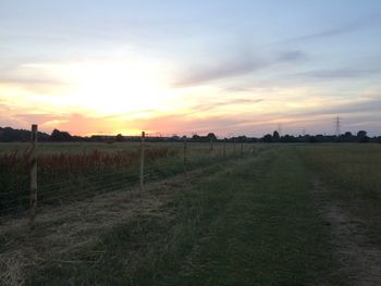 Scenic view of field against sky during sunset