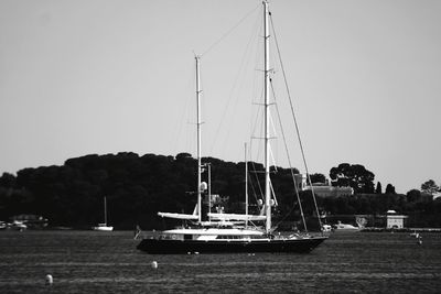 Sailboats sailing on sea against clear sky