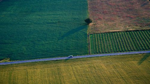 Aerial view of road amidst field during sunny day