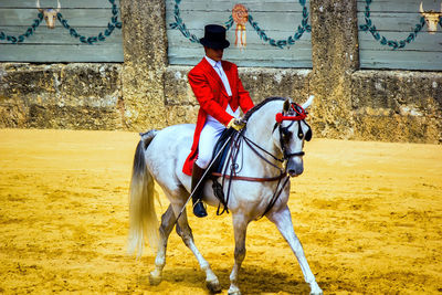 Man riding horse