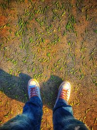 Low section of man standing on land