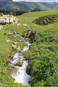 Scenic view of green landscape against sky