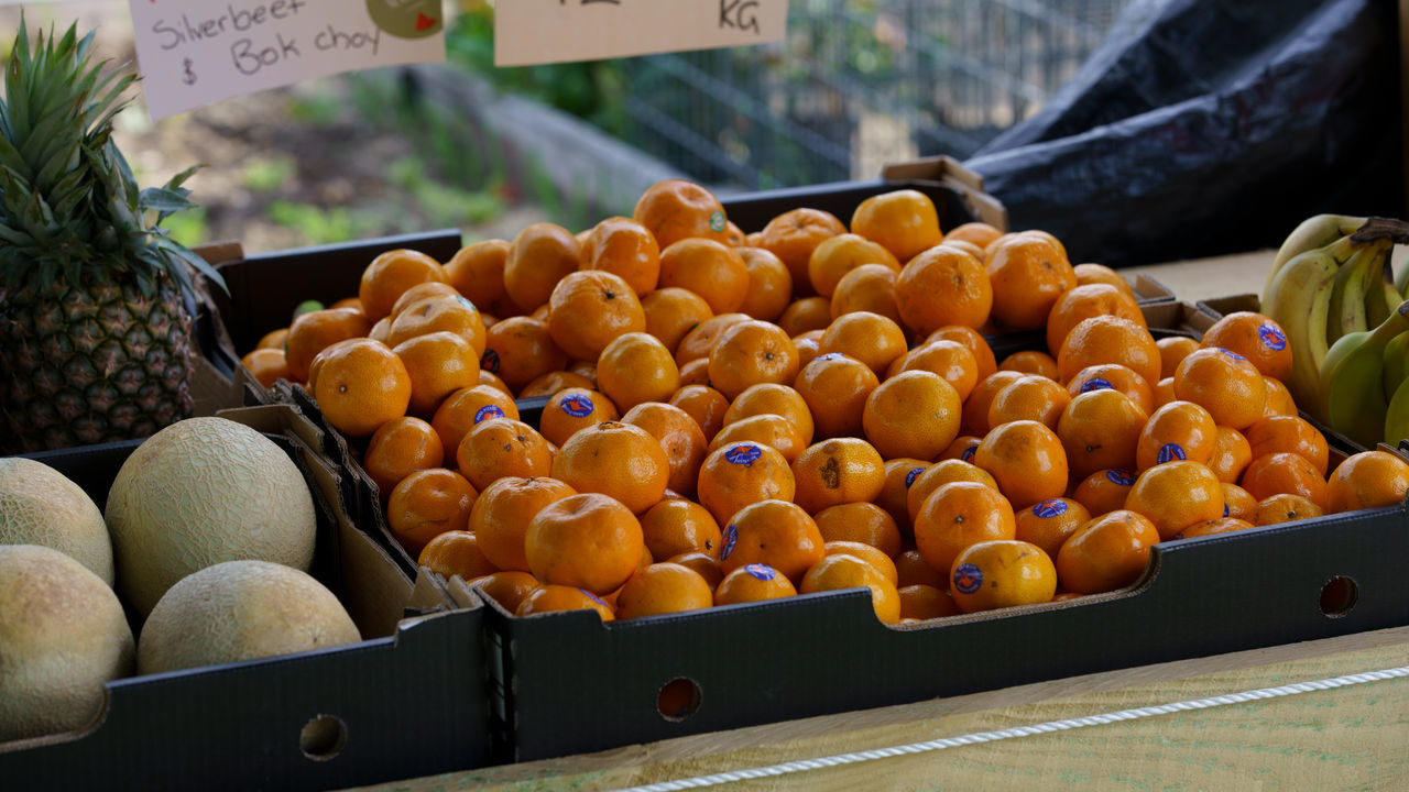 FRUITS FOR SALE IN MARKET