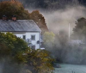 House by trees during foggy weather