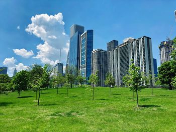 Trees growing on field by buildings against sky