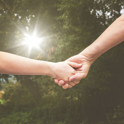 Cropped image of people holding hands against trees