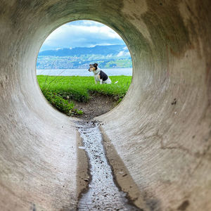 Rear view of man standing at beach