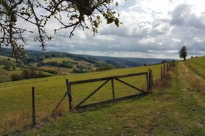 Scenic view of field against sky