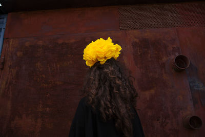 Close-up of yellow flower