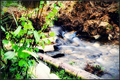 Stream flowing through rocks