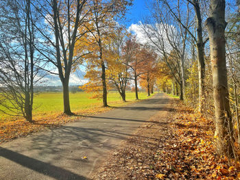 Road amidst trees during autumn