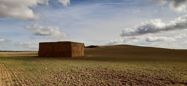 Scenic view of agricultural field against sky