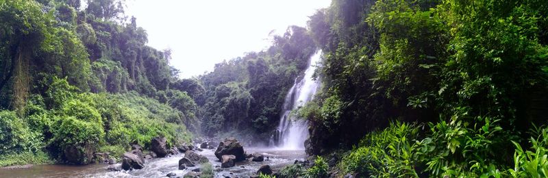 Scenic view of waterfall