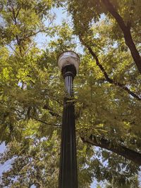 Low angle view of street light against sky