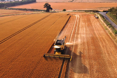 Combine harvester working on mertoun estate farm, cutting oat crop in fields during dry spell