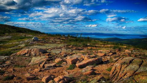 Scenic view of landscape against cloudy sky