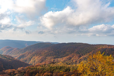 Scenic view of landscape against sky during autumn