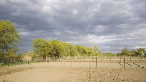 Scenic view of landscape against cloudy sky