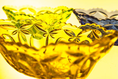 Close-up of yellow flower