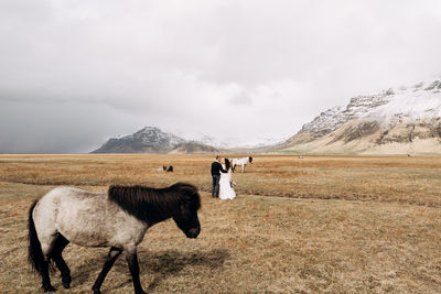 Couple standing by animals in field